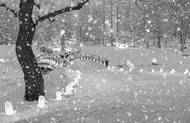 Winter Wonderland in the park.  