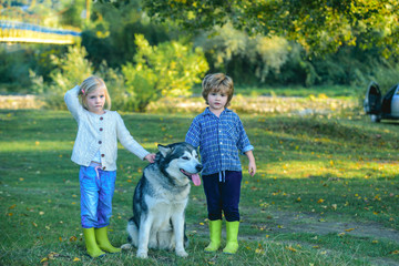 Naklejka na ściany i meble Funny children boy and girl with dog walk together on green hill. Adventure and vacations children concept. Children are hiking together with pet dog. Happy childhood moments.