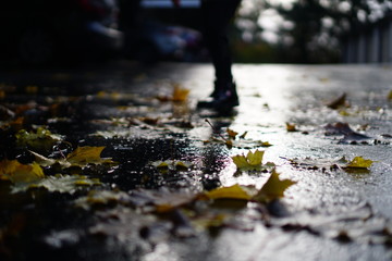 wet autumn leafs on the ground and kids boots 