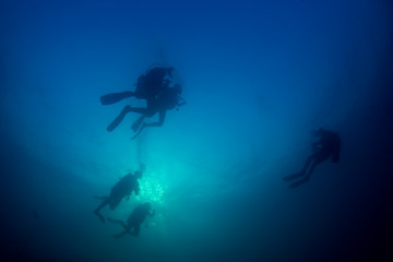 Fototapeta na wymiar Scuba diving underwater. Scuba divers and fish silhouette against ocean surface 
