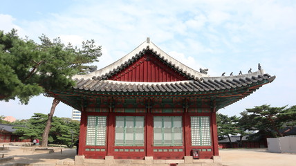 화창한 고궁