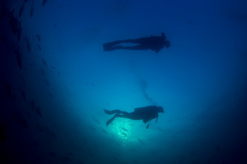 Obraz na płótnie Canvas Scuba diving underwater. Scuba divers and fish silhouette against ocean surface 