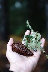 woman holding pine cone and moss