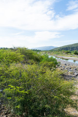 Fototapeta na wymiar rio armeria