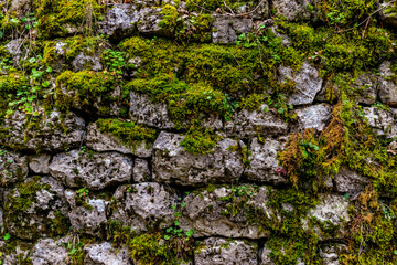 A wide angle shot of an old abandoned stone wall covered in moss and plants
