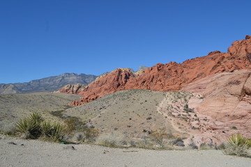 Fototapeta na wymiar Red Rock Canyon,Calico Hills,Nevada