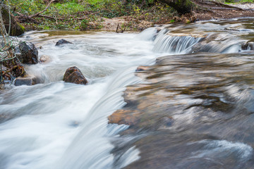 Water stream of a river between the forest