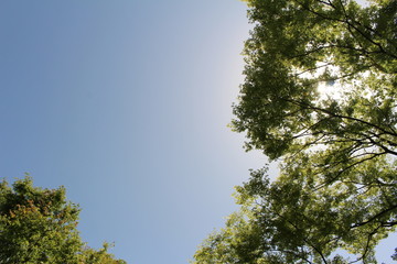 여름 경주 하늘