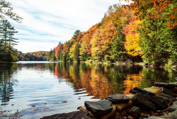 Obraz premium A place to sit and reflect on a sunny autumn day at the end of a lake.