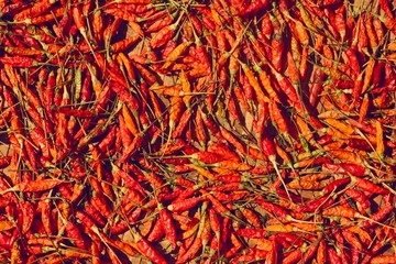 Red chilli peppers drying on the sun.
