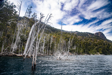 The submerged forest in Lake Traful, Patagonia Argentina. Some versions warn of a possible slope of the mountain slope and a potential tsunami