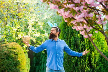 Easter egg hunt concept. Humorous series of a man in bunny suit. Good for Easter or ironic...
