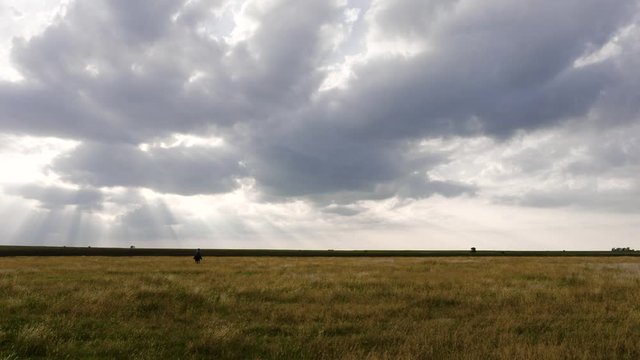 A single rider rides across a field silhouetted by a bright cloudy sky