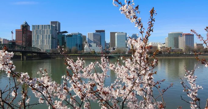 A warm early spring day on the waterfront in Portland, Oregon in 2020.