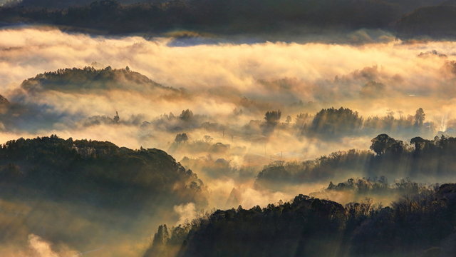 「朝靄」の画像 - 5,069 件の Stock 写真、ベクターおよびビデオ | Adobe Stock
