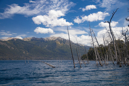 The submerged forest in Lake Traful, Patagonia Argentina. Some versions warn of a possible slope of the mountain slope and a potential tsunami
