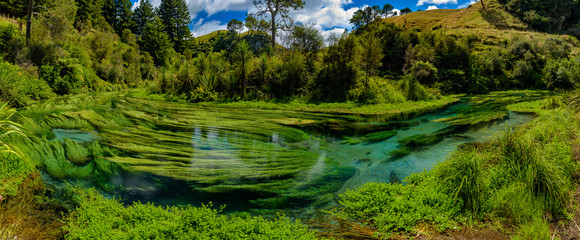 Panorama of Blue Spring, the river with the purest water in New Zealand, Te Waihou Walkway, Hamilton, Waikato