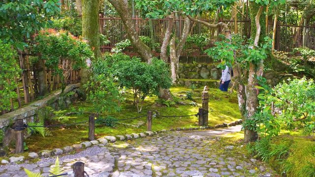 Nara, Japan Yoshikien garden during spring with traditional Japanese footpath architecture panning handheld walking and foreigner woman tourist