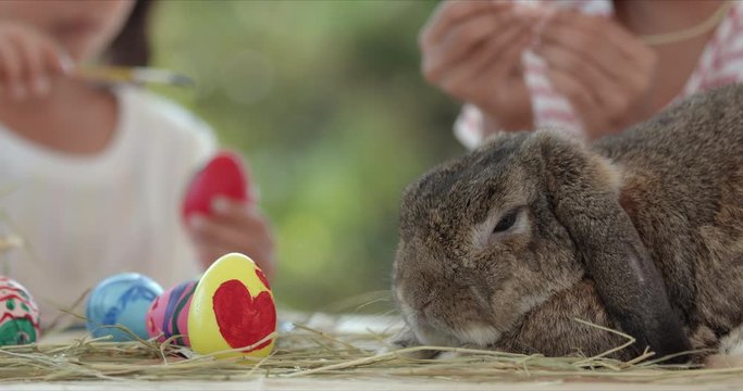 A gray rabbit on easter festive table during asian little girl wearing bunny ears coloring easter eggs with colors and brush. Preparation of the Easter. Slow motion