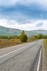road in autumn forest with yellow leaves, asphalt pavement with markings, mood of nostalgia in journey