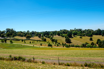 Fototapeta premium A rural road with beautiful grassland and beautiful sky