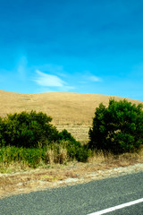 Fototapeta na wymiar A rural road with beautiful grassland and beautiful sky