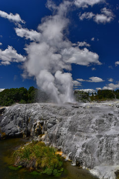 Geyser in Te Puia geothermal park, Rotorua, New Zealand