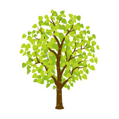 Green leaves tree icon