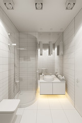 3d render interior design of the bathroom with a corner shower