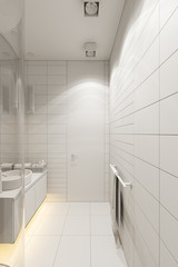 3d render interior design of the bathroom with a corner shower