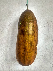 Ripe Natural Cucumbers in Nepalese Vegetables