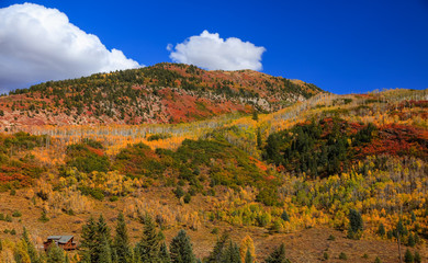 Fall foliage on Colorado rocky mountains