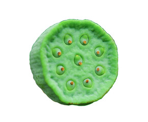 Lotus seeds on white background