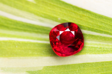 Art and Decoration Gemstone RED RUBY