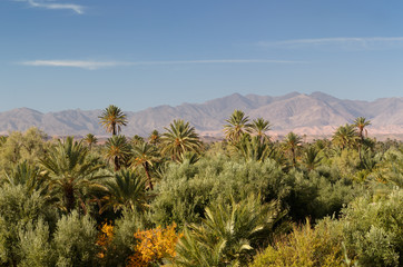 View of High Atlas mountains and the Skoura oasis Palm tree grove from Kasbah Ben Moro Morocco
