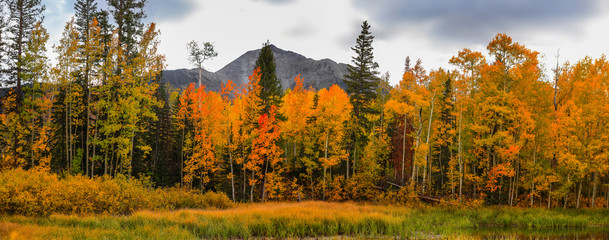 Panoramic view of scenic landscape in autumn time near Telluride Colorado
