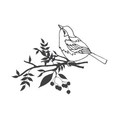 Vector composition of hand drawn bird with leaves and twigs.