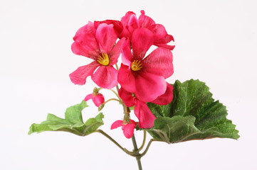Closeup of artificial flower bouquet