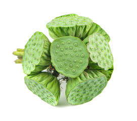 Lotus seeds an isolated on white background