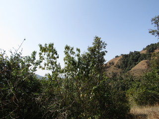 valleys of shimla landscape mountains