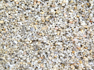 White pebble on the small garden ground inside the house.