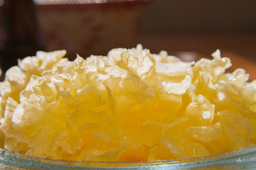 snow fungus, silver tree fungus, white jelly mushroom close up