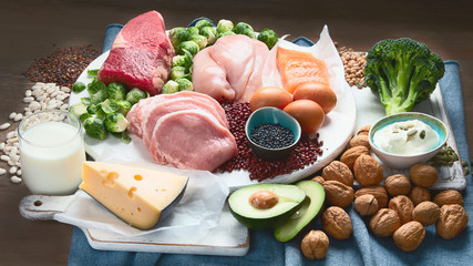 Best High Protein Foods