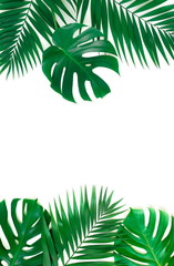 Fototapeta na wymiar tropical green palm, monstera leaves , branches frame isolated on a white background. top view.copy space.abstract.