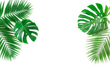 tropical green palm, monstera leaves , branches frame isolated on a white background. top view.copy...