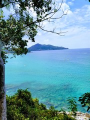  Green forest and the sea