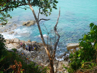  Green forest and the sea