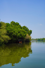 Obraz premium River side view with coconut tree and house in alleppey. Kerala 