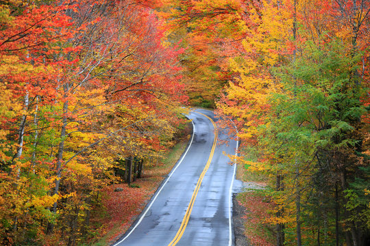 Scenic drive in rural Vermont during autumn time with bright red trees