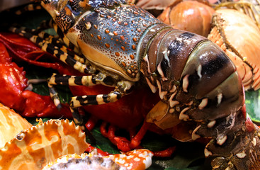 Sea crayfish cooked according to a special recipe.